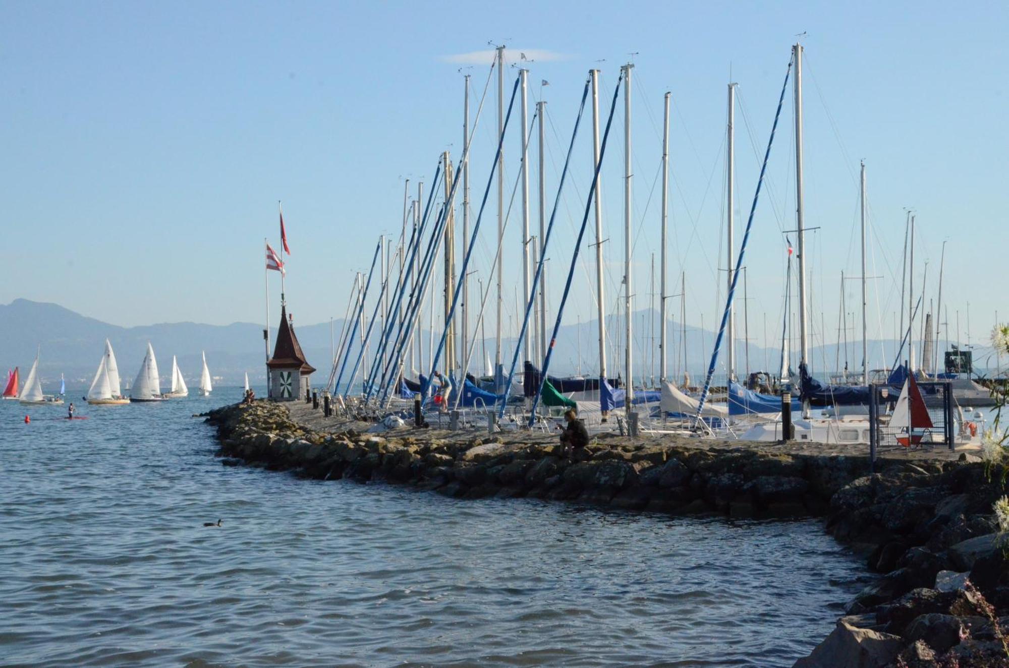 Bnb Chez Fanfan Morges Bagian luar foto